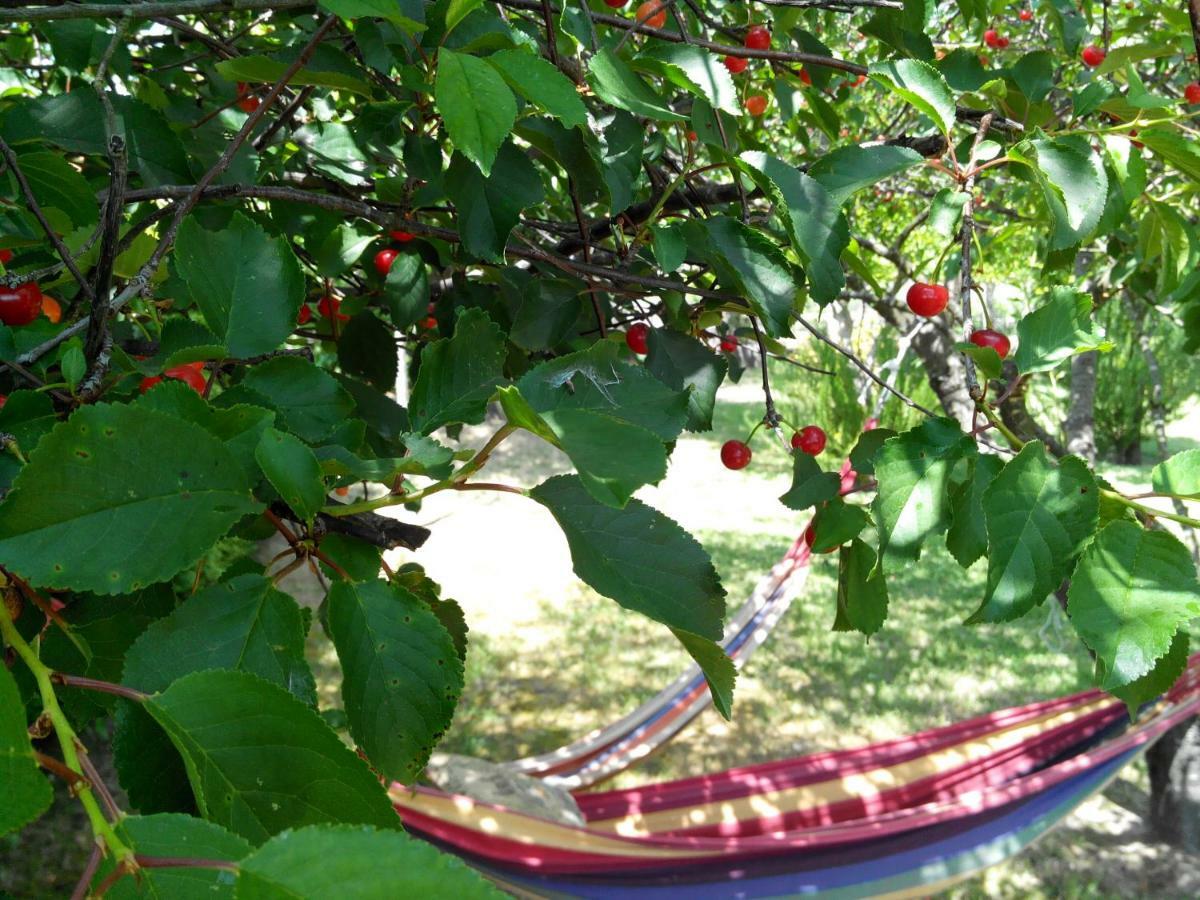 Mi Cabana Villa Ribadumia Dış mekan fotoğraf